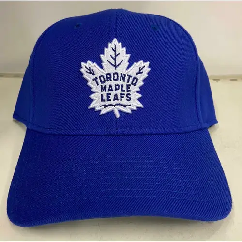 stadion-am-nhl-l-toronto-meipl-lifs