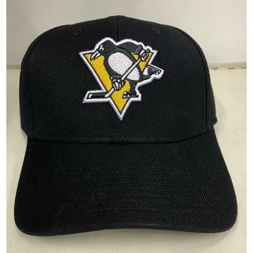 Стадион AM-NHL L, Питтсбург Пингвинз